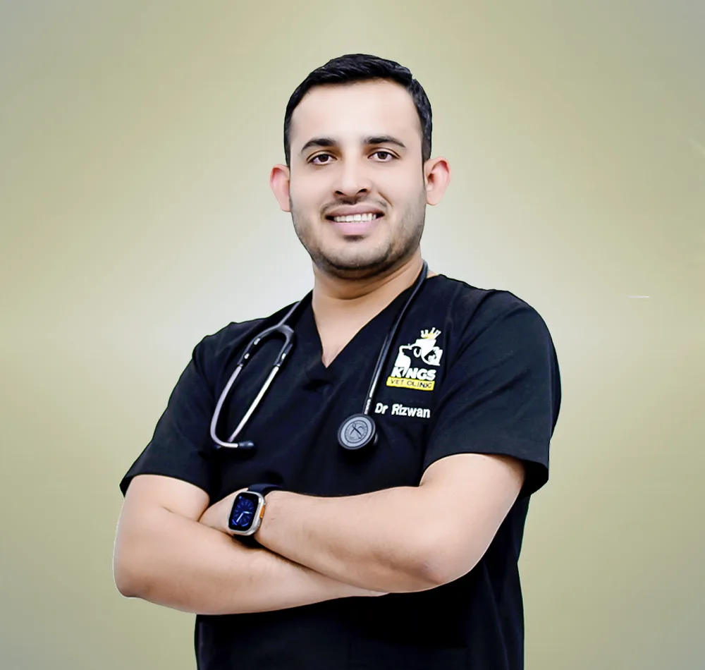 د. رضوان مالك، رئيس الأطباء البيطريين في عيادة كينغز البيطرية