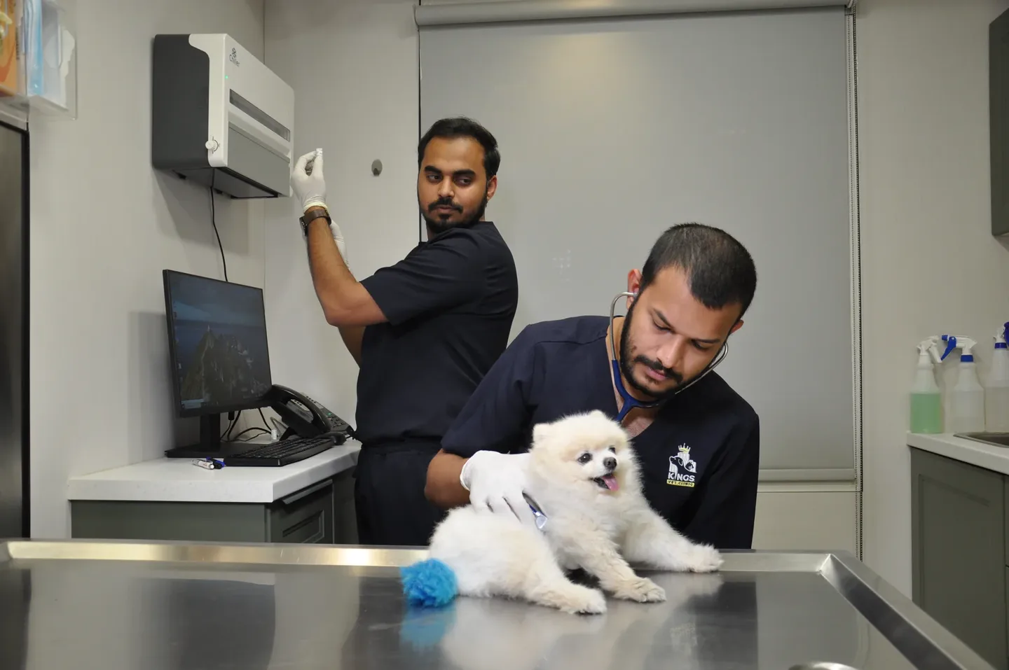 Two Kings team members with a white cat in an examination room