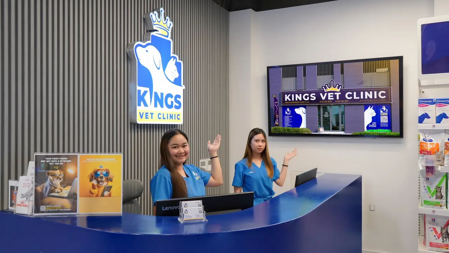 Две сотрудницы регистратуры Kings за стойкой клиники